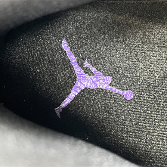 Air Jordan 11 Sneaker   CT8012-113 - FashionPlug