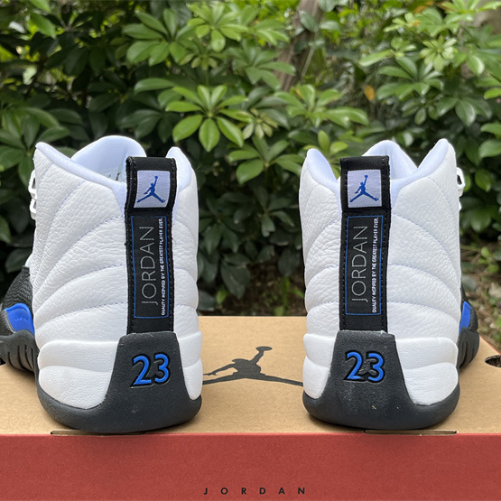 Air Jordan 12 Sneaker      CT8013-140 - FashionPlug