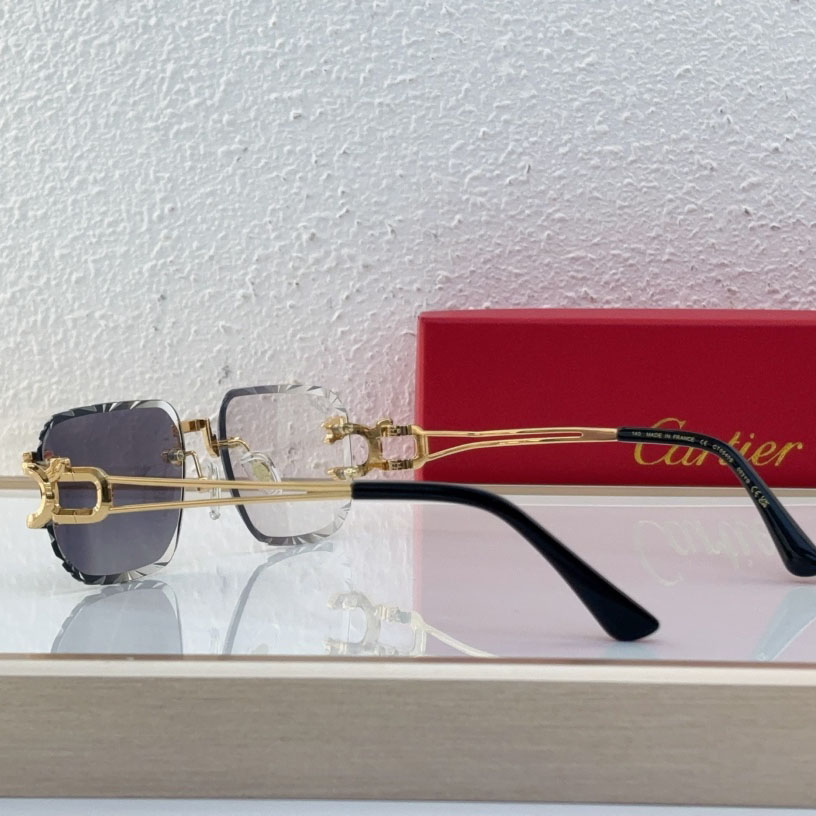 Cartier CT0540S Sunglasses - FashionPlug