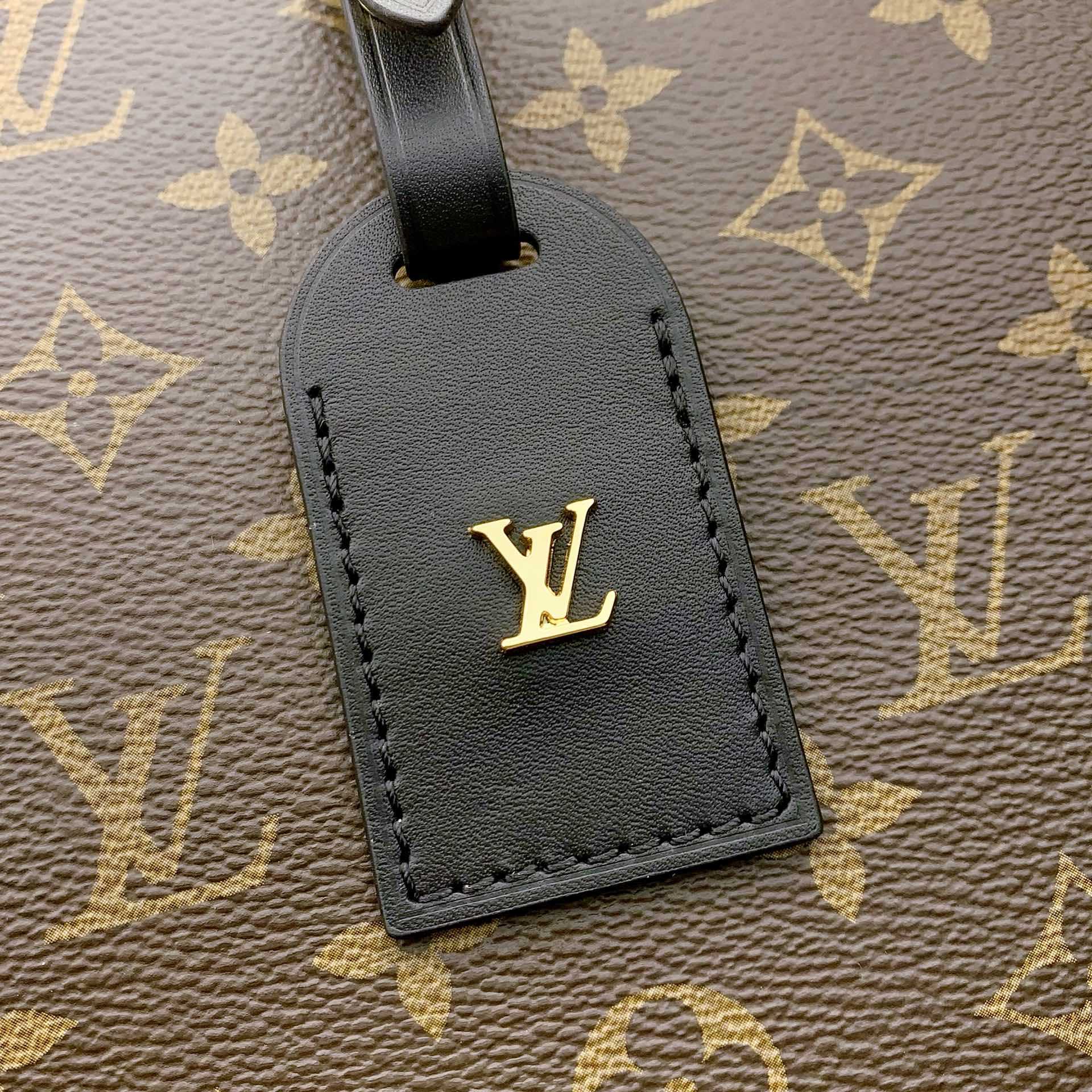 Louis Vuitton Odéon MM  M45355 - FashionPlug