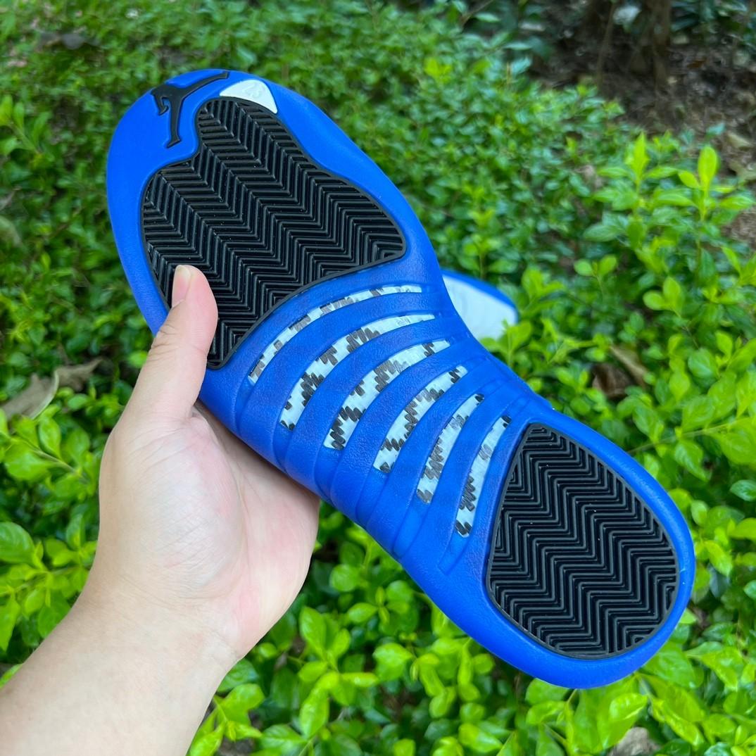 Air Jordan 12 “Blueberry” Sneaker      CT8013-140 - FashionPlug