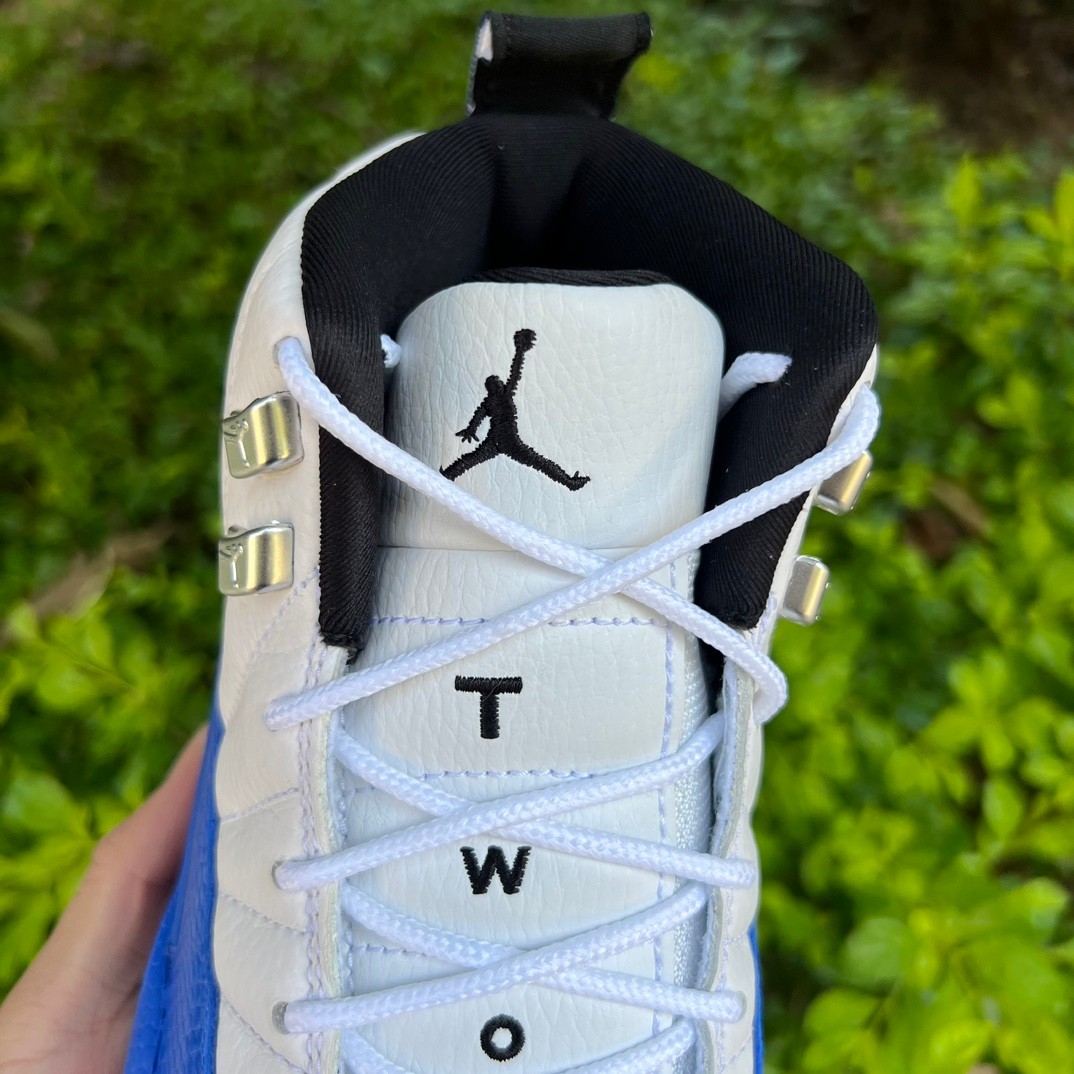 Air Jordan 12 “Blueberry” Sneaker      CT8013-140 - FashionPlug