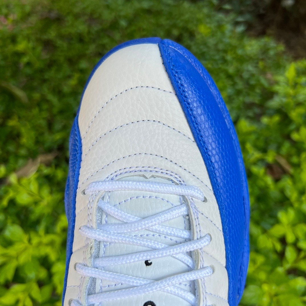 Air Jordan 12 “Blueberry” Sneaker      CT8013-140 - FashionPlug