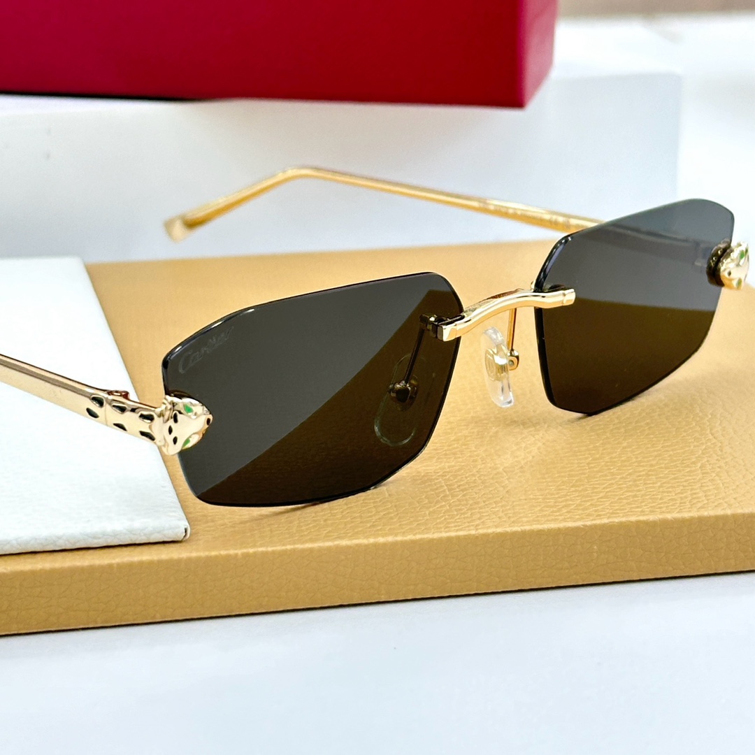 Cartier Geometric Frame Sunglasses   CT0474S  - FashionPlug