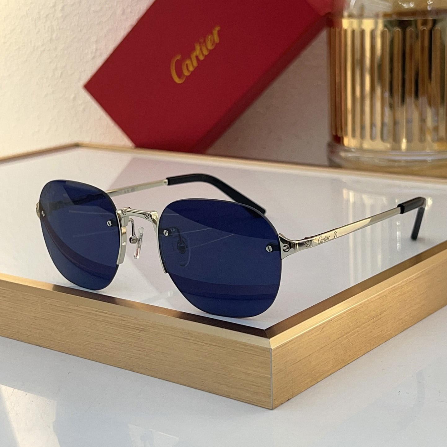 Cartier CT0459S Sunglasses    - FashionPlug