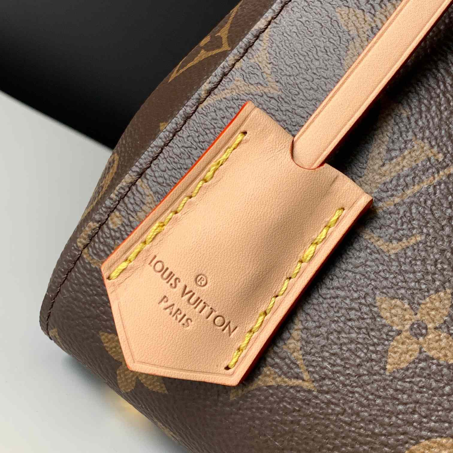 Louis Vuitton Cluny BB  M46372 - FashionPlug