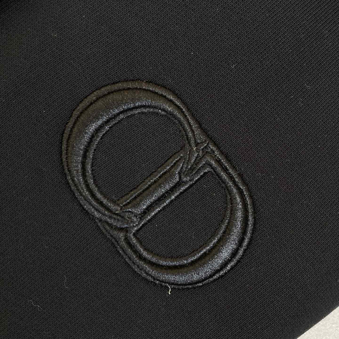 Dior CD Icon Hooded Sweatshirt - FashionPlug
