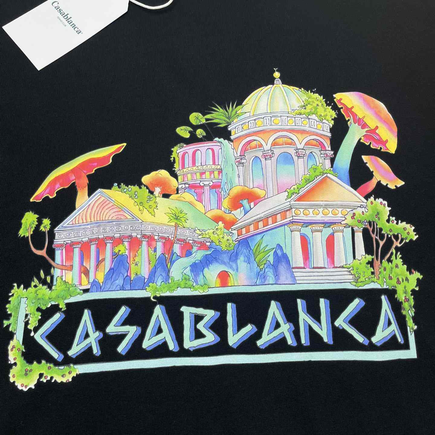 Casablanca The Road To Knowledge Printed T-shirt     C905 - FashionPlug