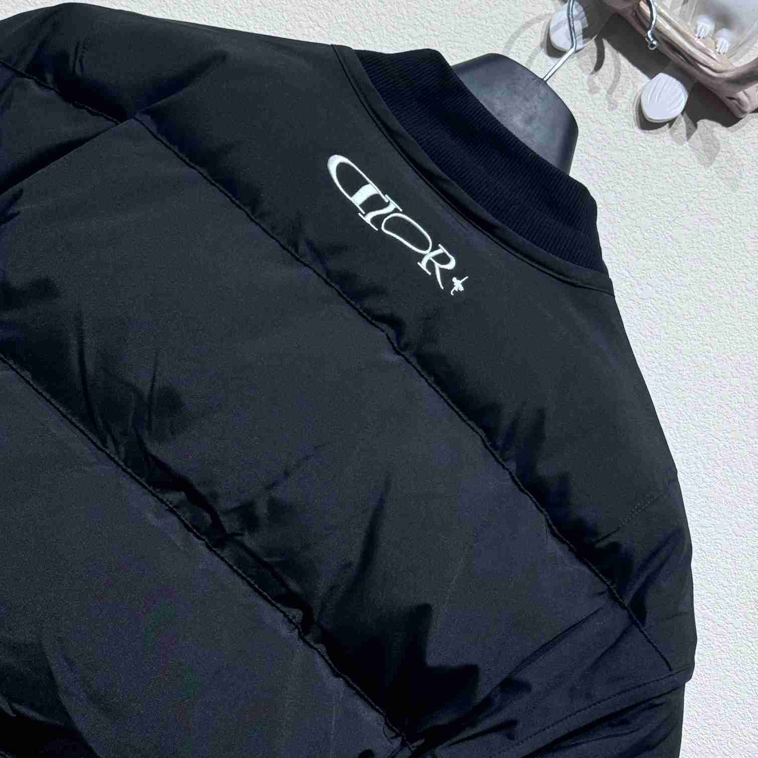 Dior AND LEWIS HAMILTON Puffer Jacket With Removable Sleeves  - FashionPlug