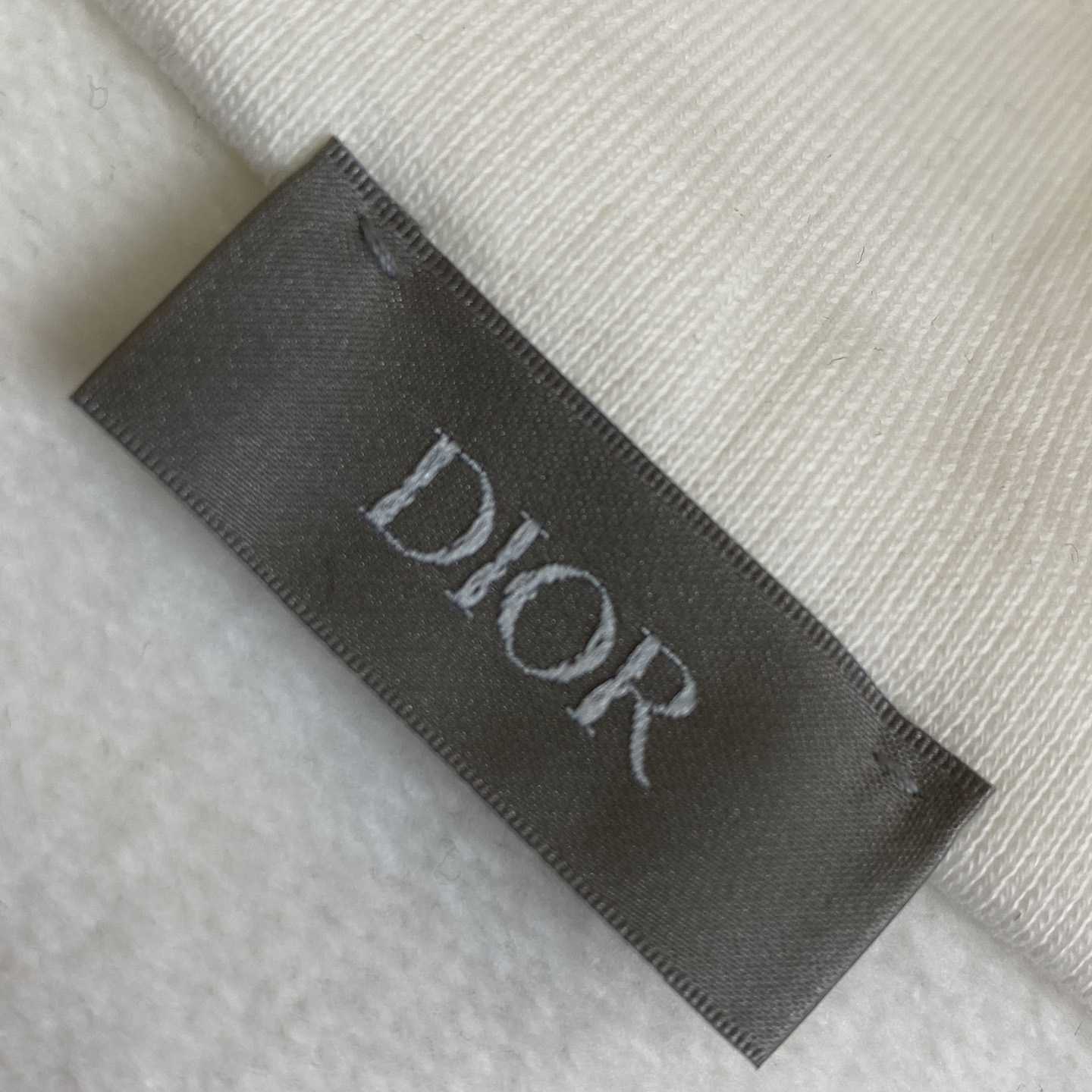Dior CD Icon Half-Zip Sweatshirt   - FashionPlug