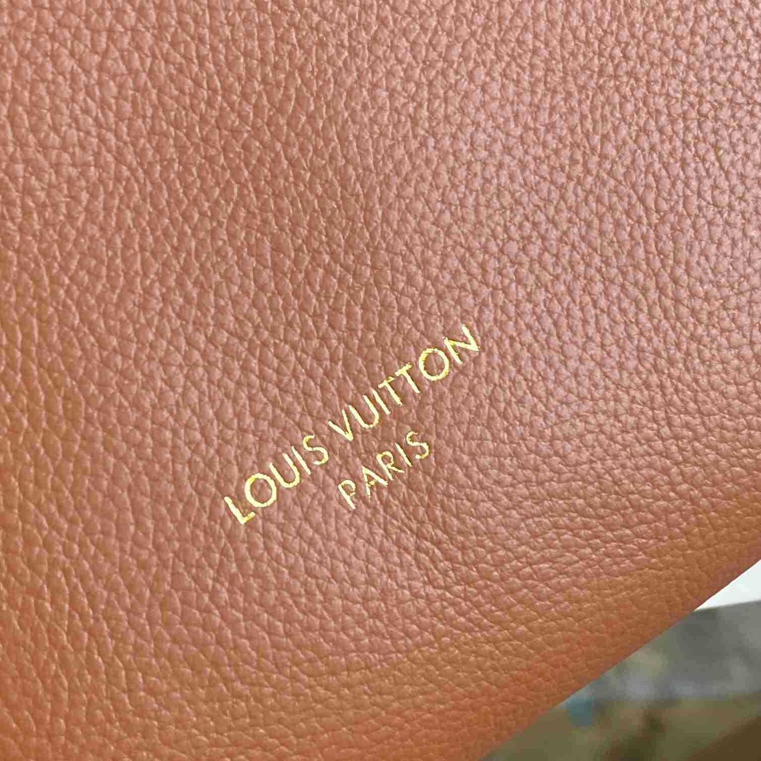 Louis Vuitton Low Key Hobo PM   M25352 - FashionPlug