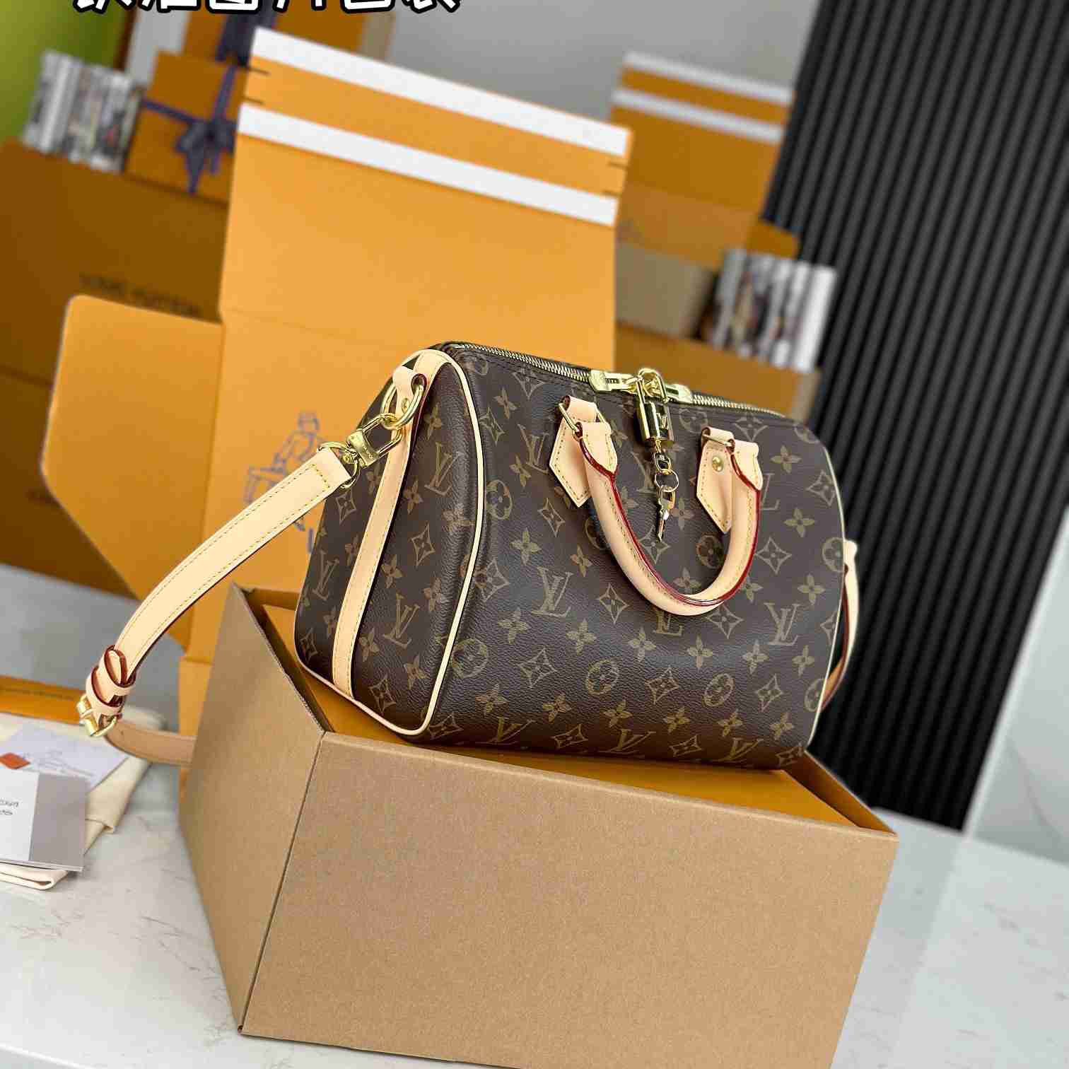 Louis Vuitton Speedy 25  M41113 - FashionPlug