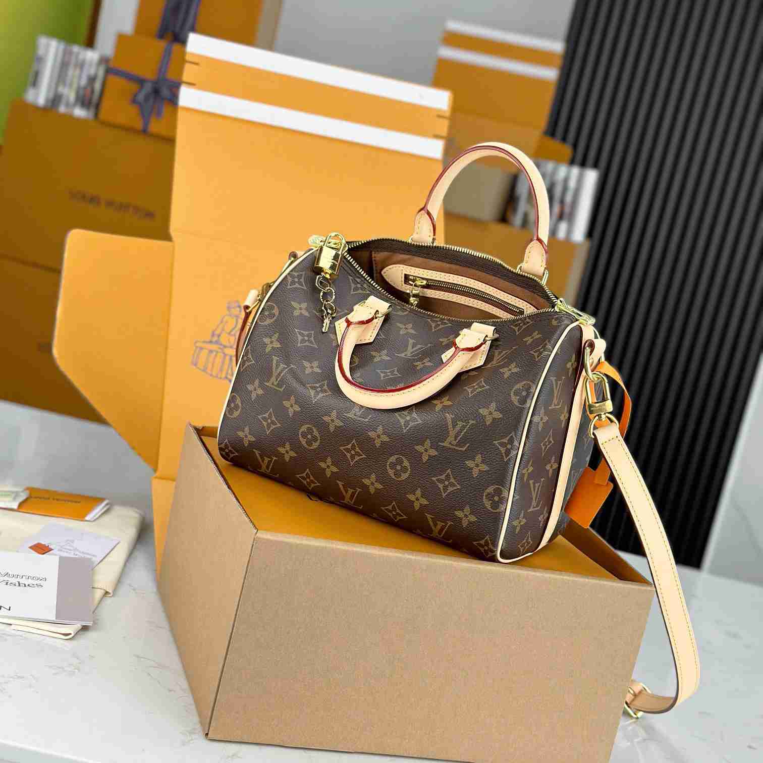 Louis Vuitton Speedy 25  M41113 - FashionPlug
