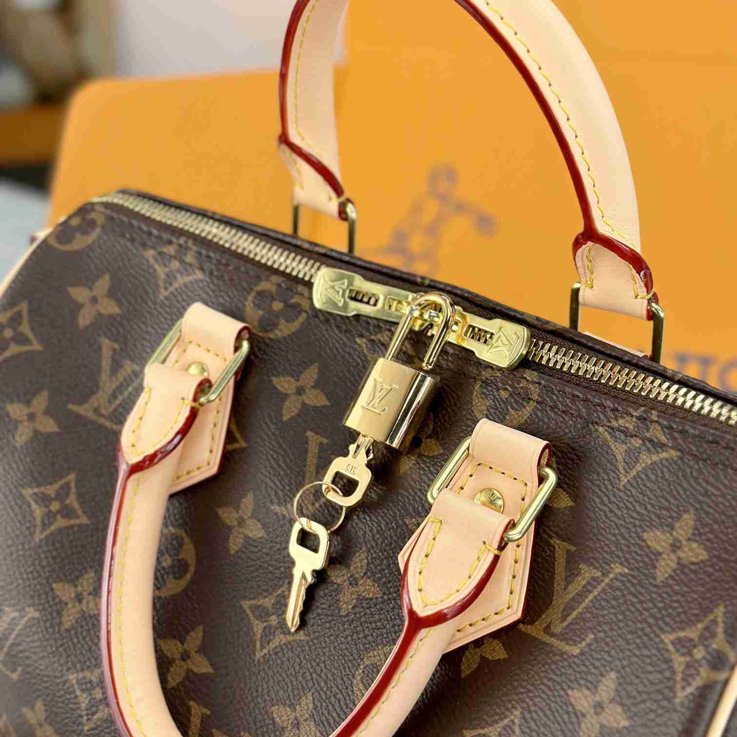 Louis Vuitton Speedy 25  M41113 - FashionPlug