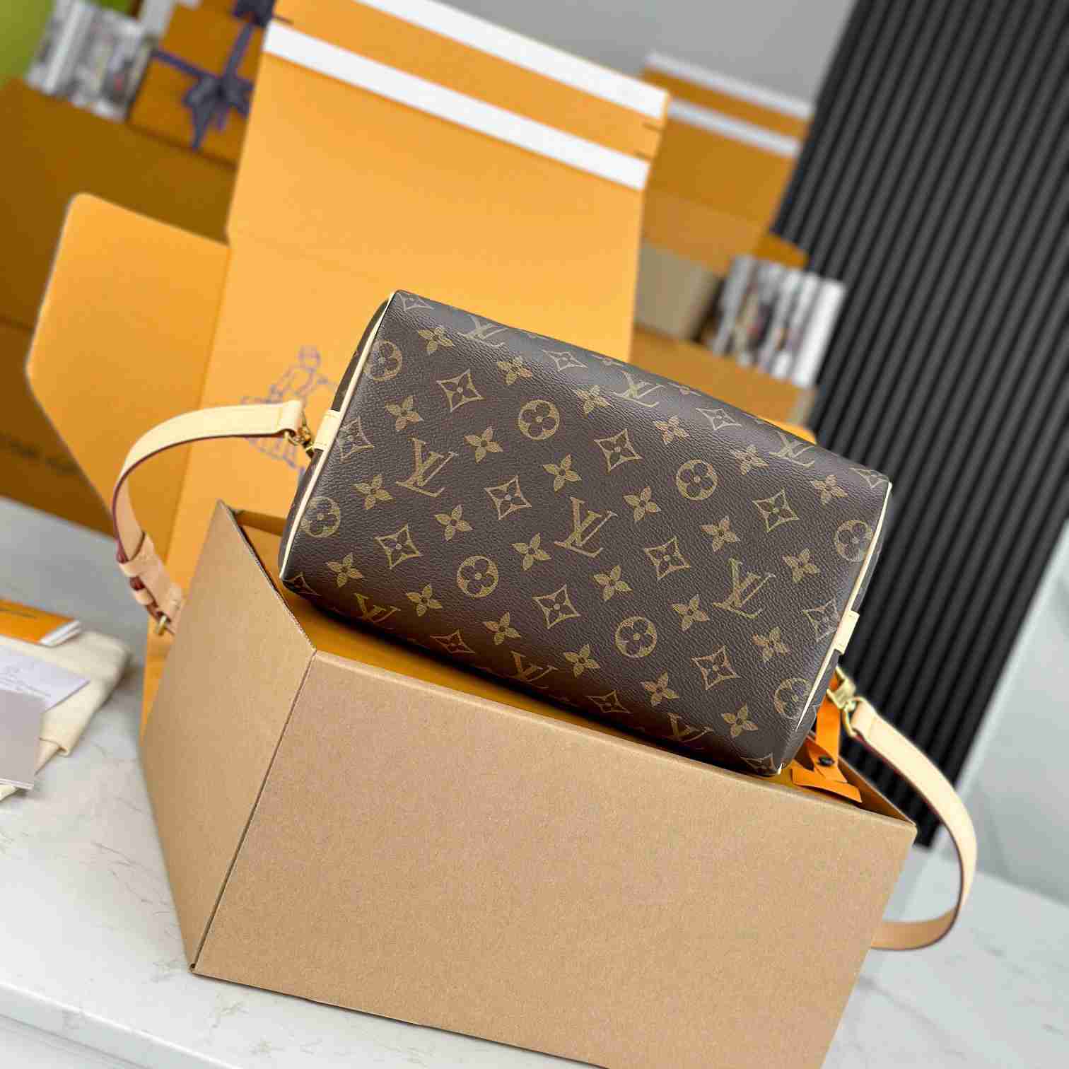 Louis Vuitton Speedy 25  M41113 - FashionPlug