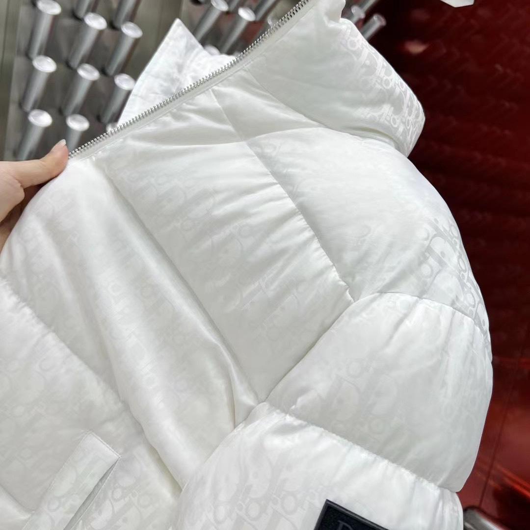 Dior Oblique Down Jacket  - FashionPlug
