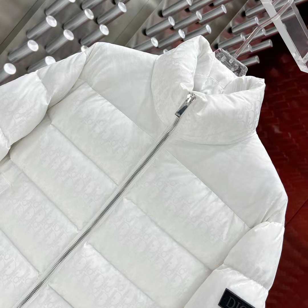 Dior Oblique Down Jacket  - FashionPlug