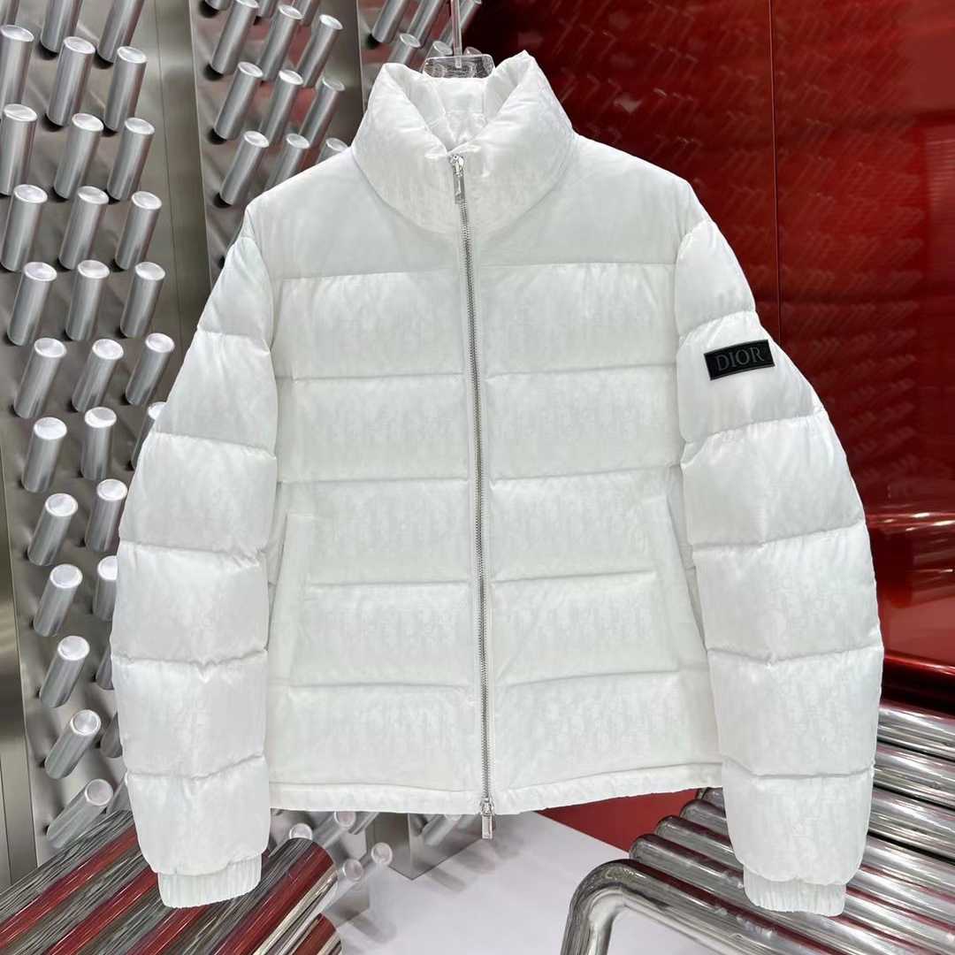 Dior Oblique Down Jacket  - FashionPlug