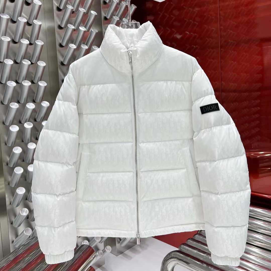 Dior Oblique Down Jacket  - FashionPlug