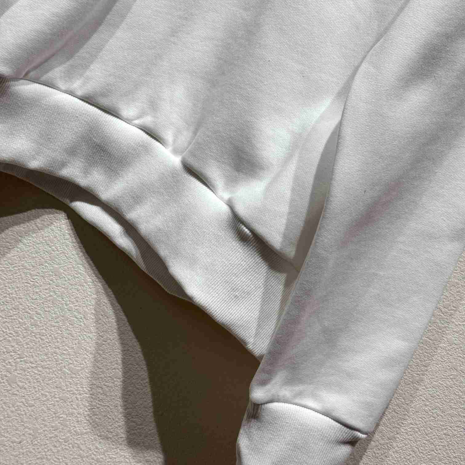 Dior And Lewis Hamilton Sweatshirt - FashionPlug