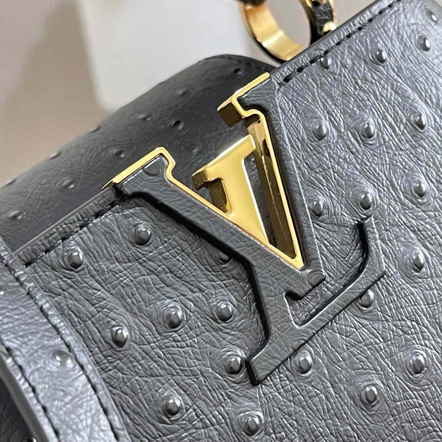 Louis Vuitton Capucines (21*14*8cm)   M48865 - FashionPlug