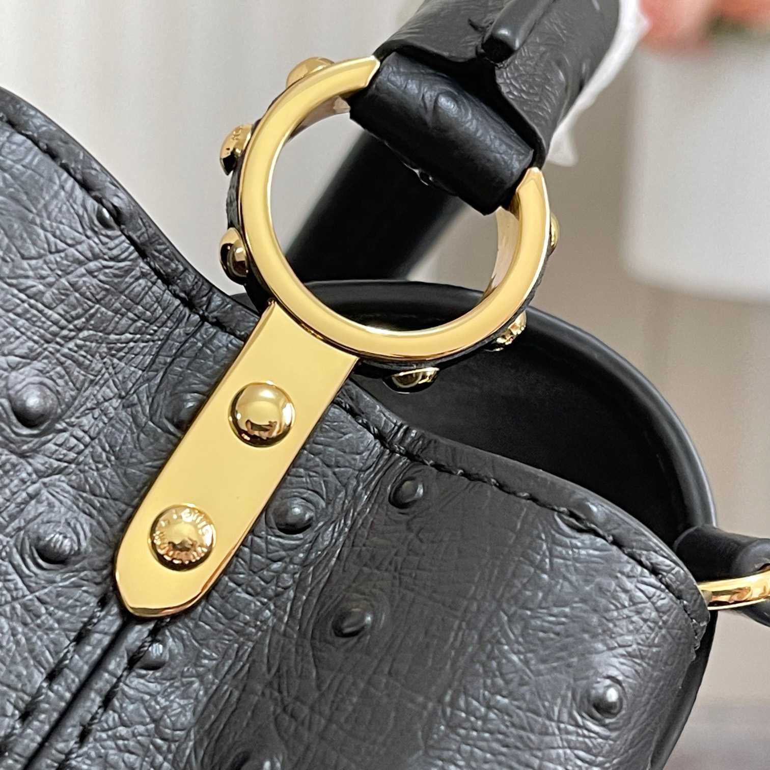 Louis Vuitton Capucines (21*14*8cm)   M48865 - FashionPlug