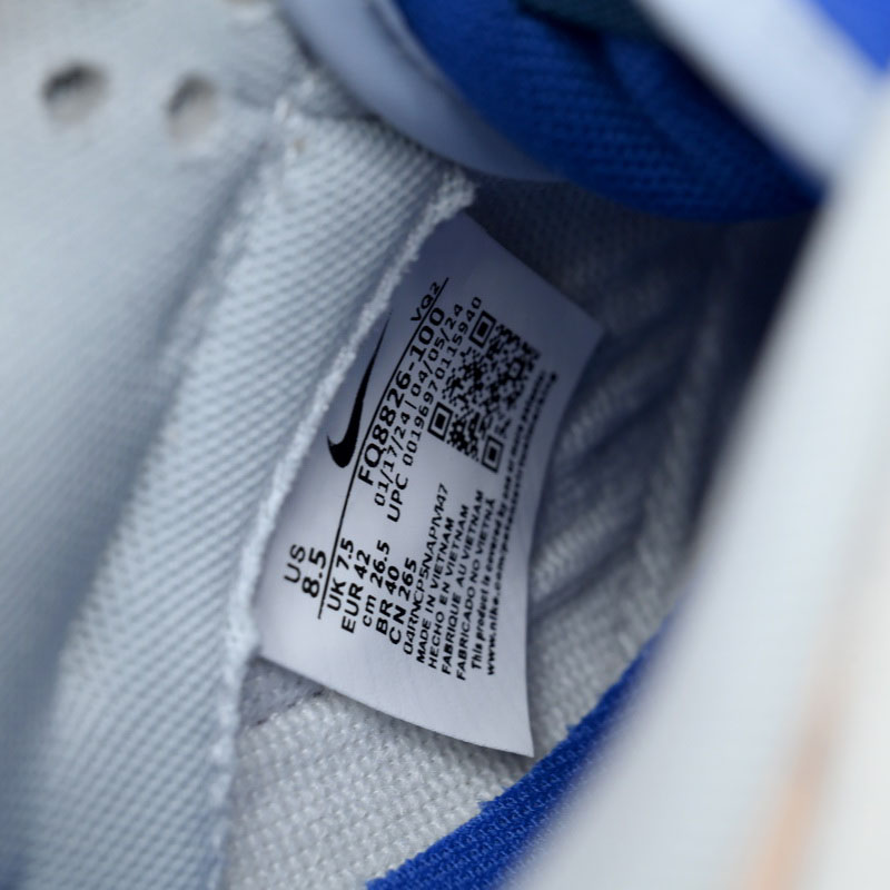 Nike Dunk Low Pioneer Knight Sneaker   FQ8826-100 - FashionPlug