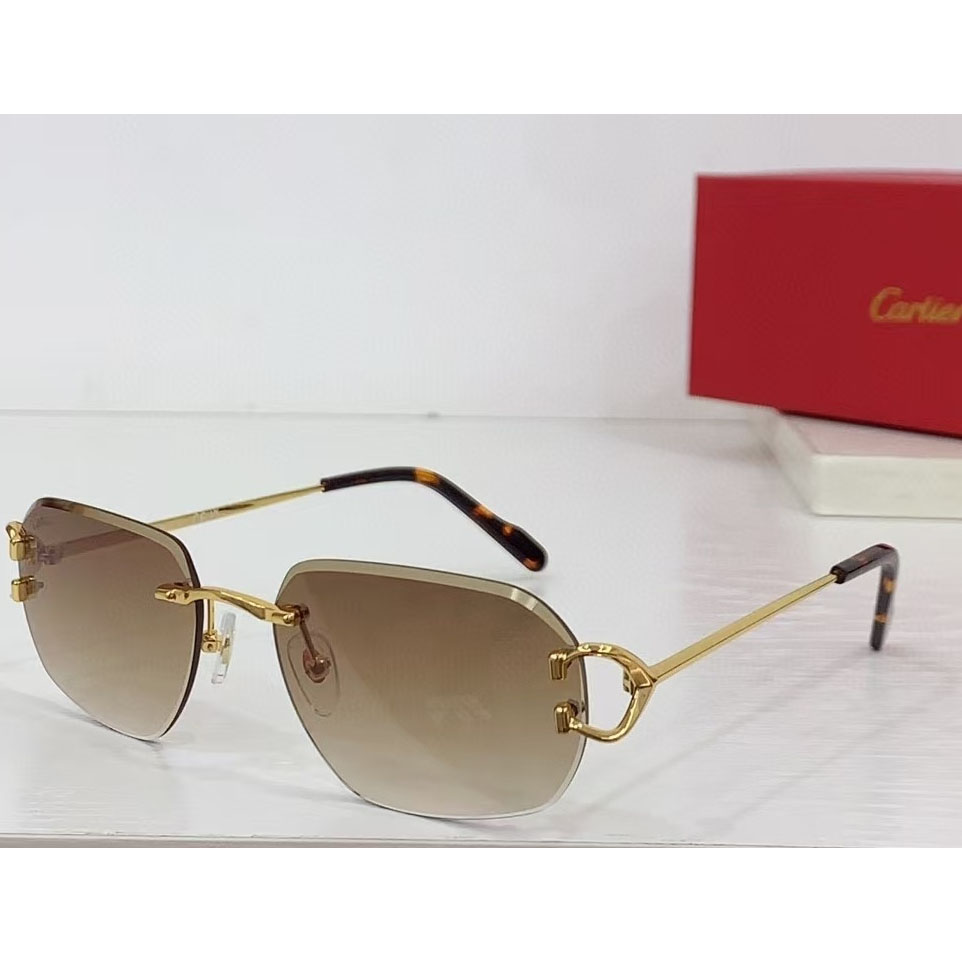 Cartier Sunglasses  - FashionPlug
