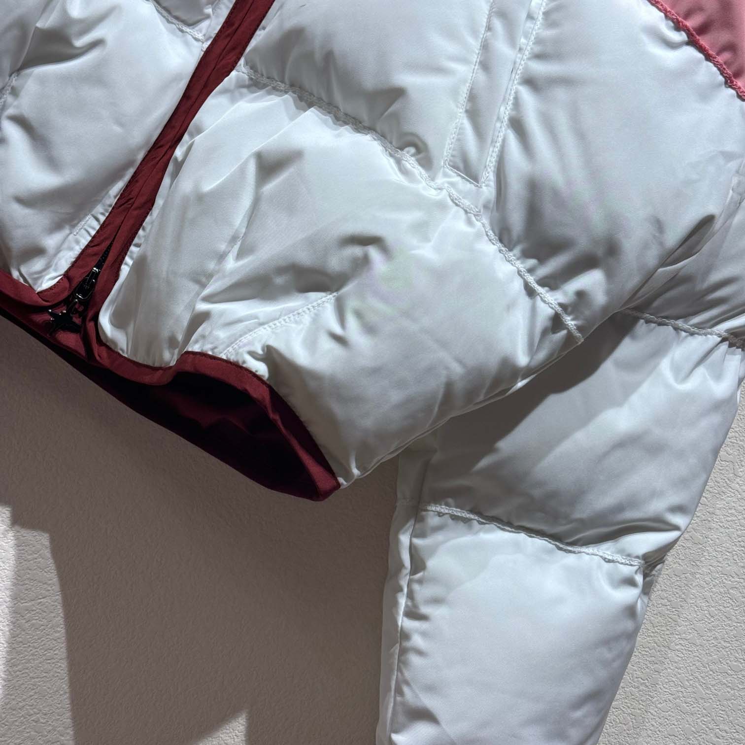 DIOR AND LEWIS HAMILTON Puffer Jacket With Removable Sleeves  - FashionPlug