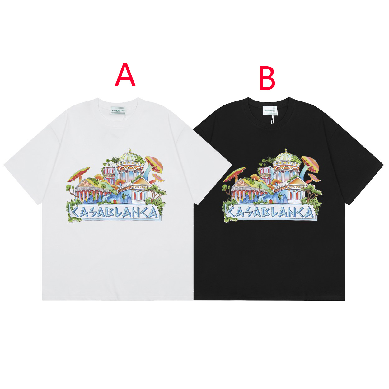Casablanca The Road To Knowledge T-shirt  - FashionPlug