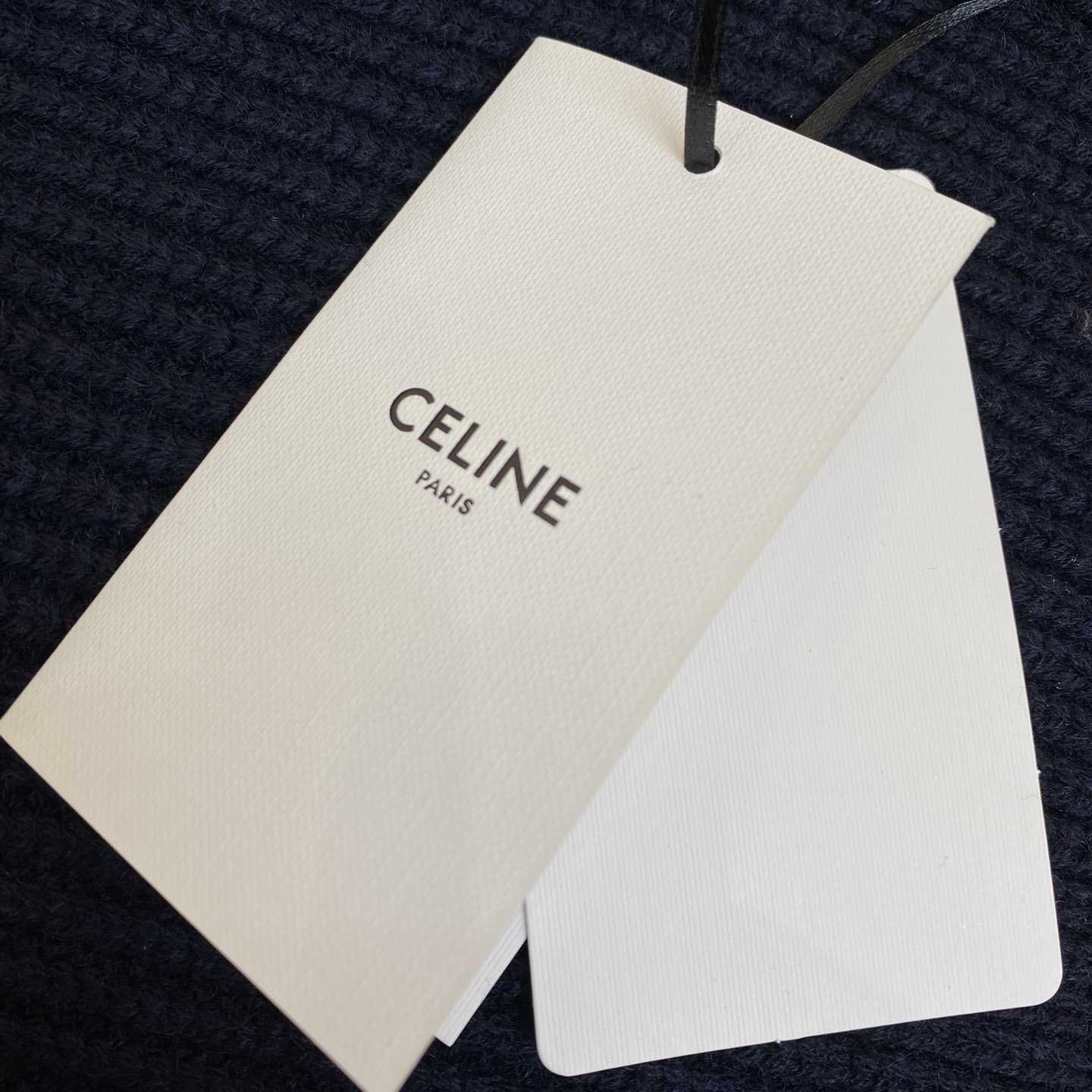Celine College Hooded Sweater In Wool - FashionPlug