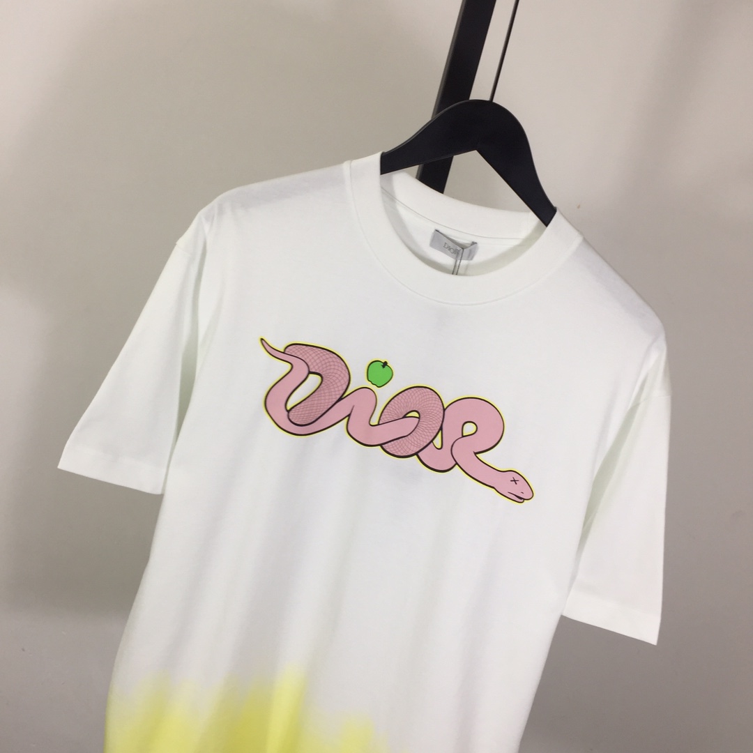 Dior Logo T-Shirt  - FashionPlug