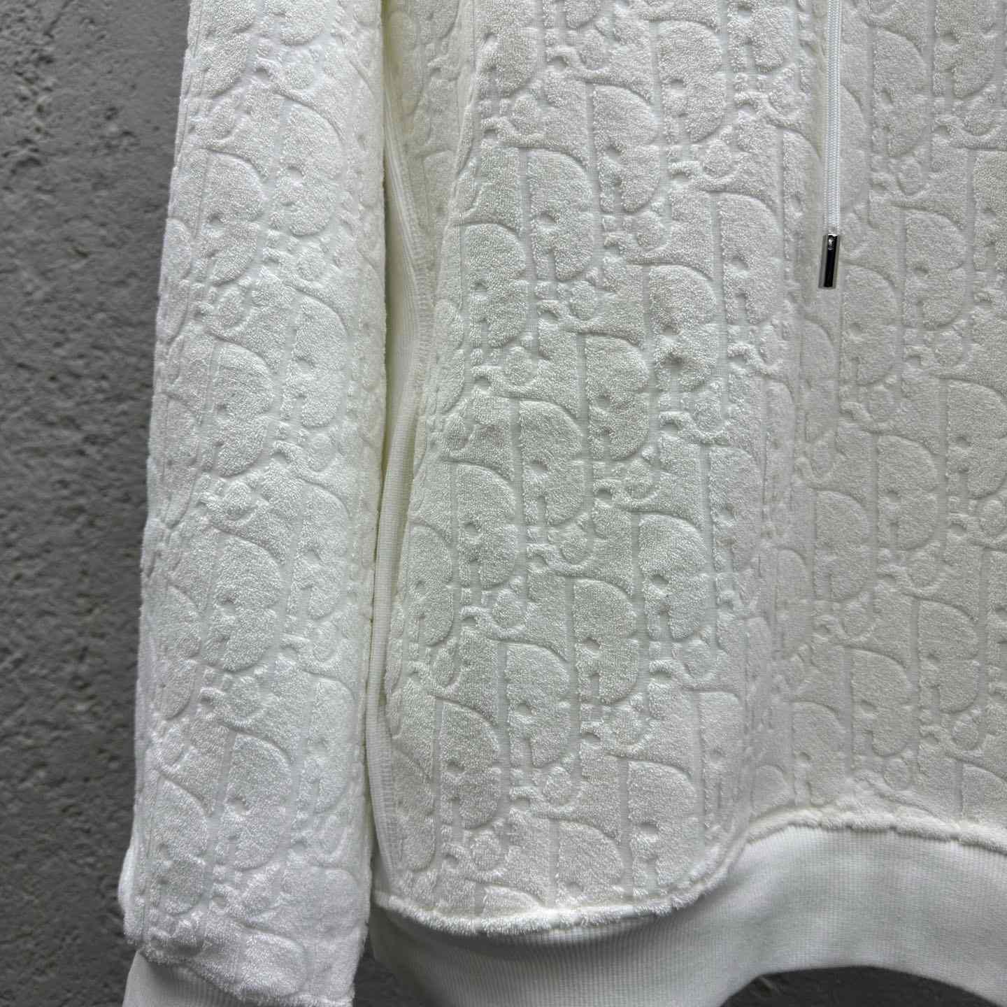 Dior Oblique Relaxed-Fit Hooded Sweatshirt    - FashionPlug