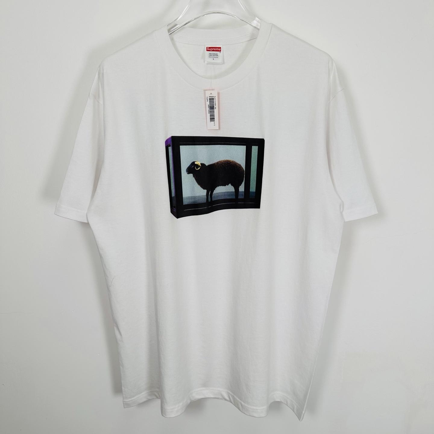 Supreme Damien Hirst Tee White - FashionPlug
