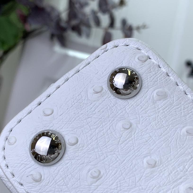 Louis Vuitton Capucines BB   M48865  16.3 x 11 x 6.5 cm - FashionPlug
