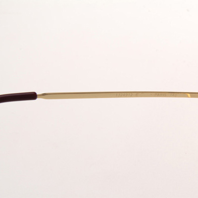 Cartier CT 1324912 Eyeglasses In Gold - FashionPlug