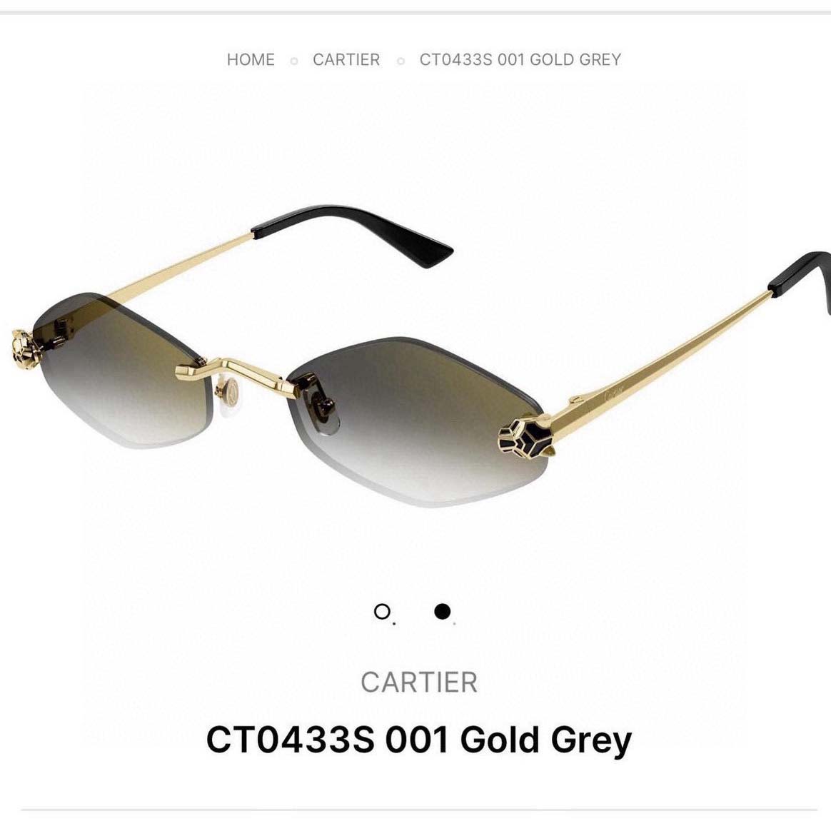 Cartier Sunglasses - FashionPlug