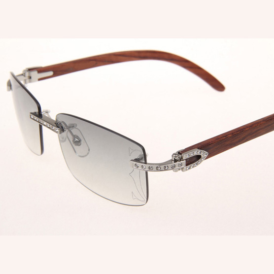 Cartier CT_3524012 Diamond Wood Eyeglasses In Silver Grey - FashionPlug