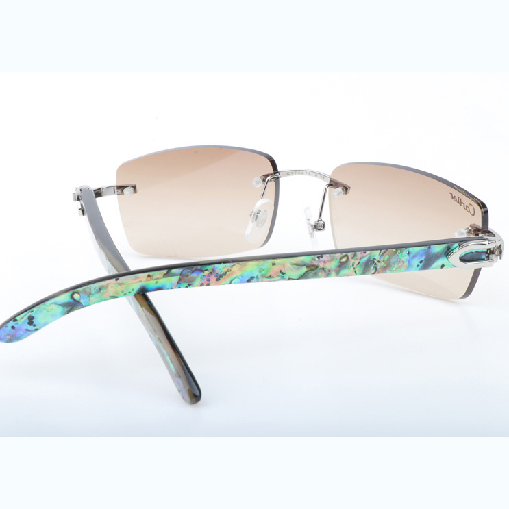 Cartier CT_3524012 Shell Mix Black Buffalo Sunglasses In Silver Brown - FashionPlug