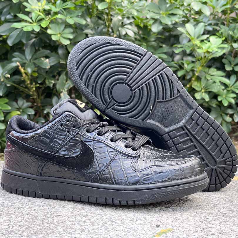 Nike Dunk SB Low    HV4388-001  - FashionPlug