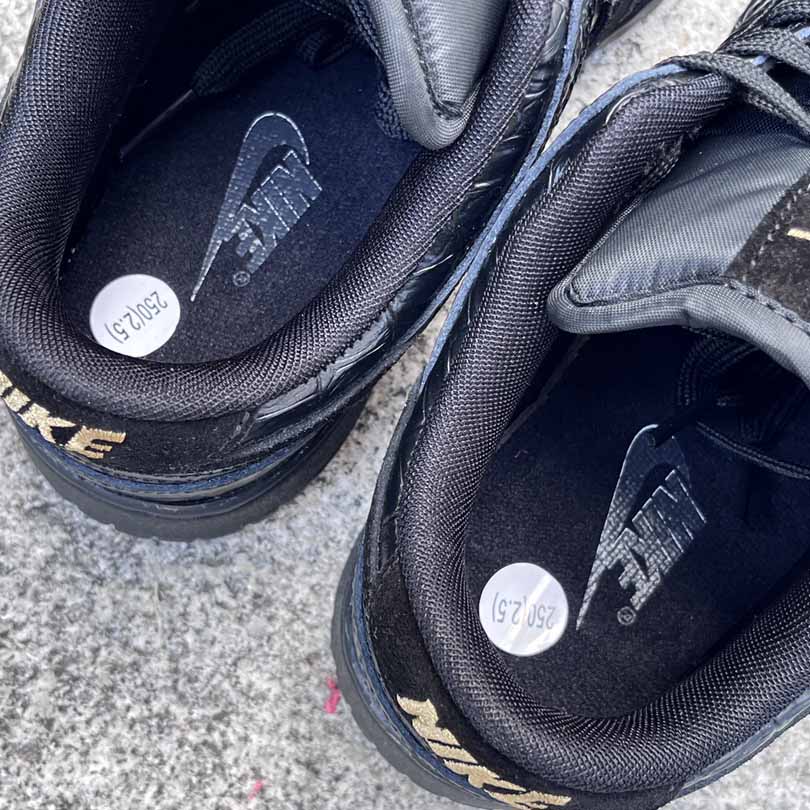 Nike Dunk SB Low    HV4388-001  - FashionPlug