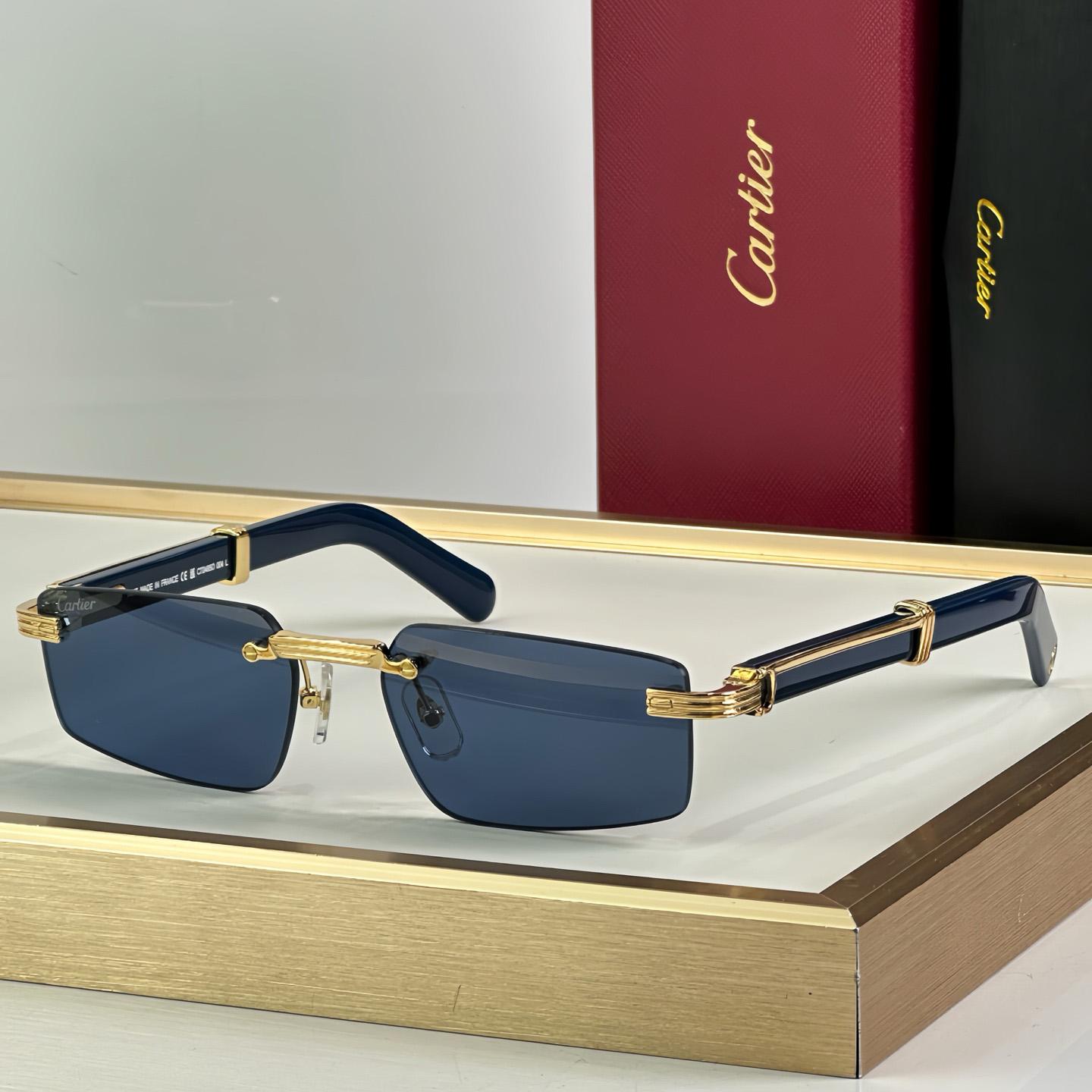 Cartier 0485O Sunglasses   ct0464s - FashionPlug