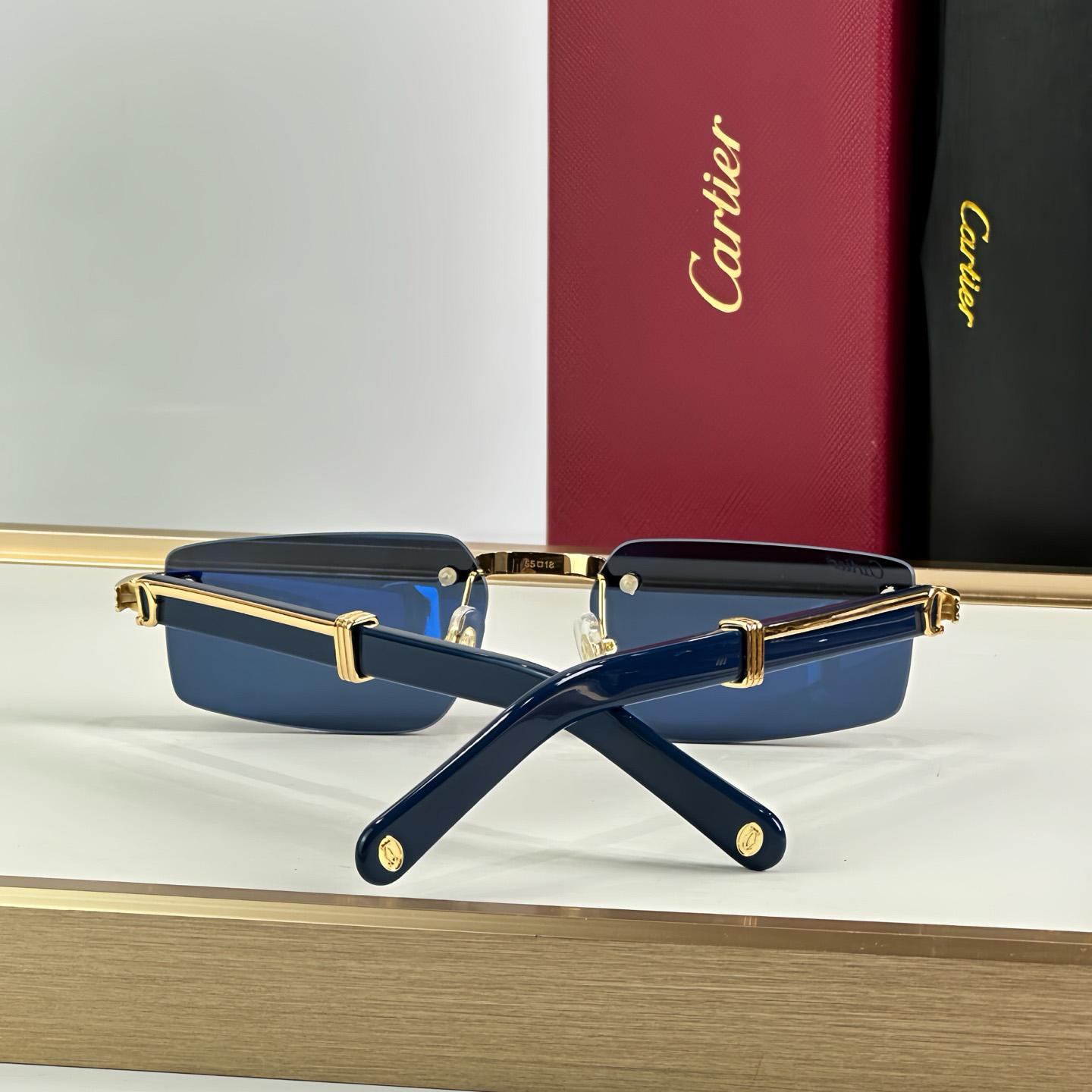 Cartier 0485O Sunglasses   ct0464s - FashionPlug