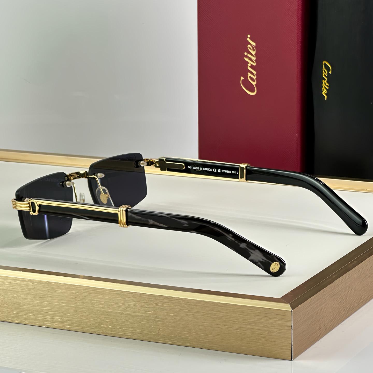 Cartier 0485O Sunglasses   ct0464s - FashionPlug