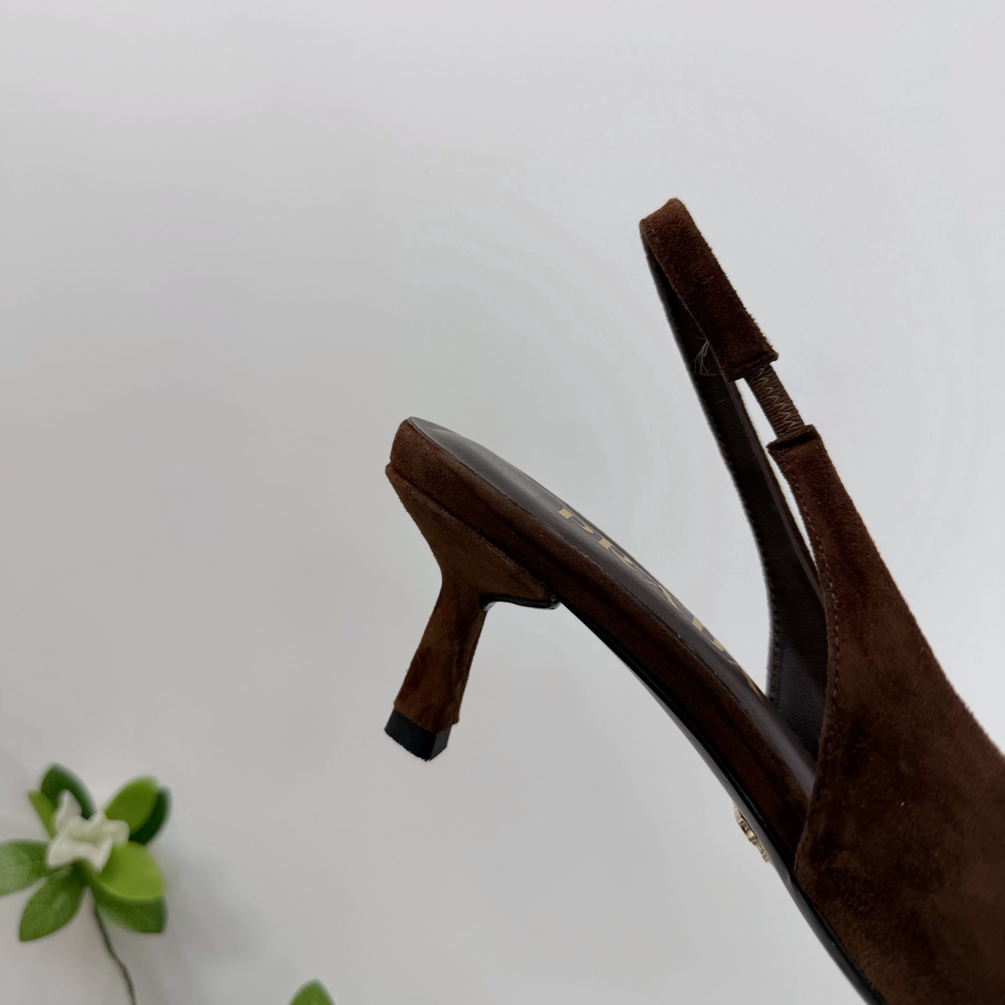 Prada Suede Pumps  5.5cm - FashionPlug