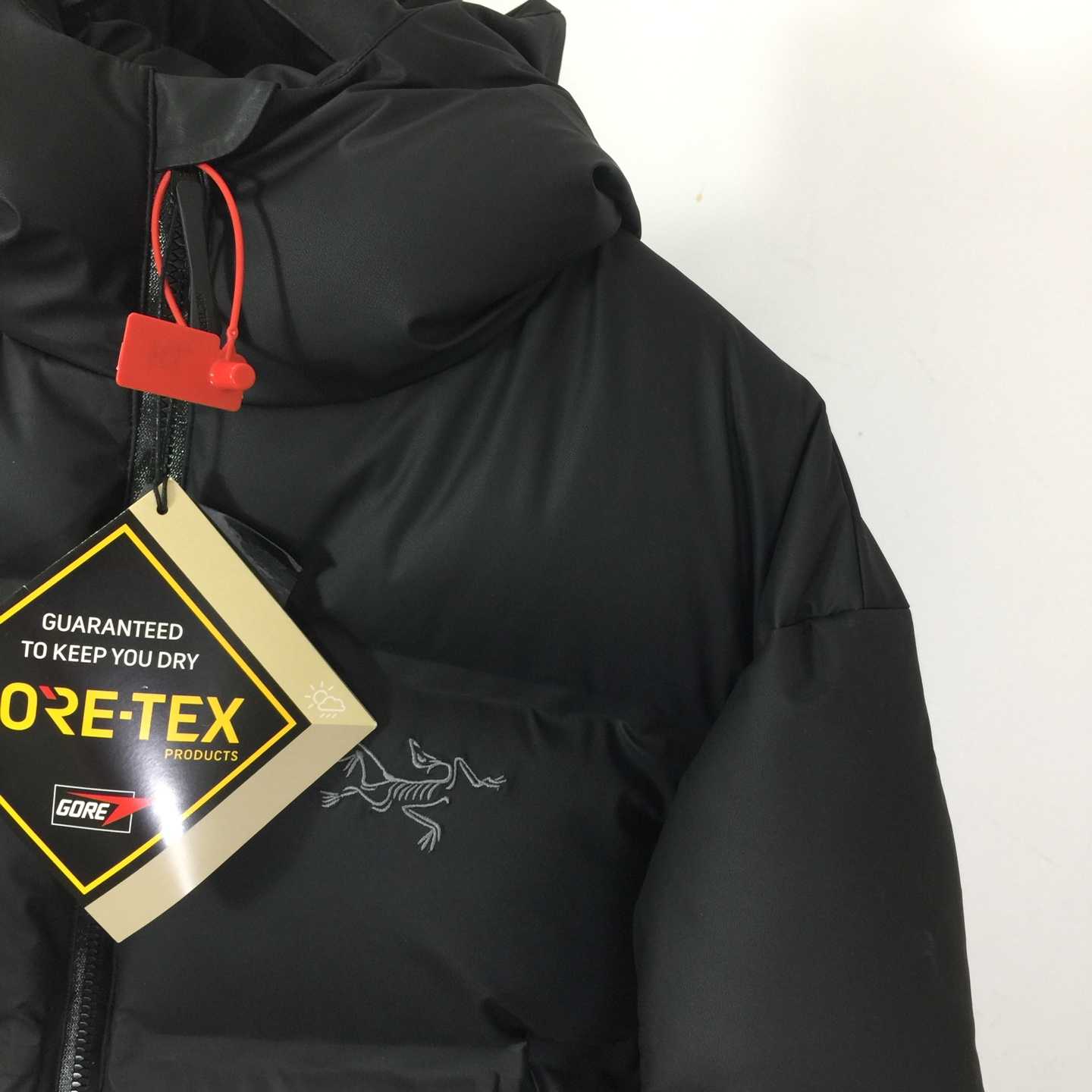 Arc'teryx Hooded Down Jacket - FashionPlug
