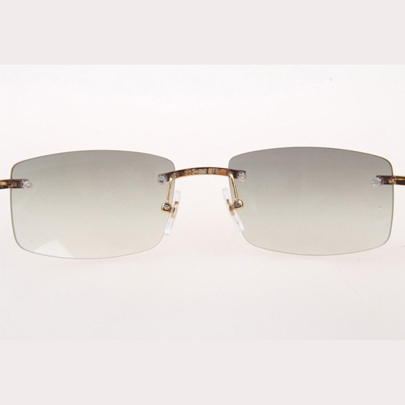 Cartier CT_3524012 White Buffalo Sunglasses In Gold Grey - FashionPlug