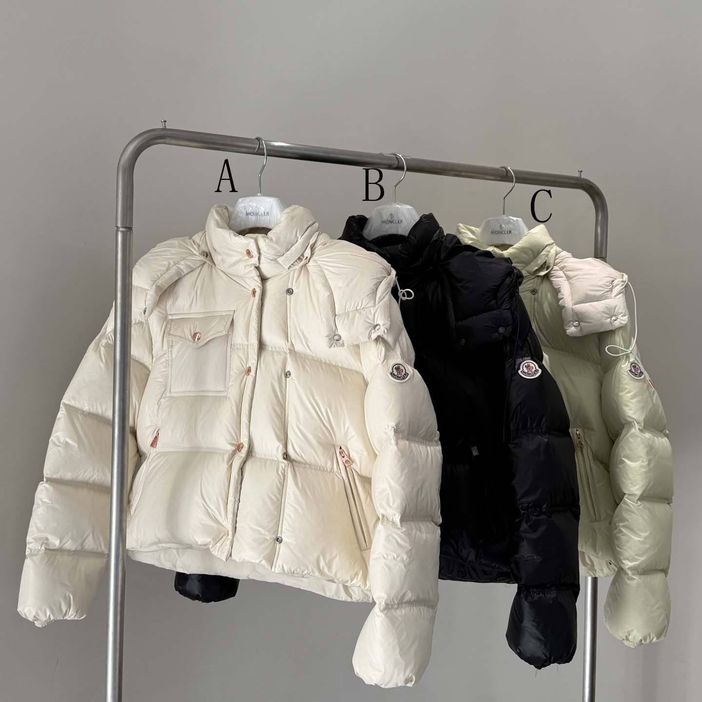 Moncler Erea Down Jacket - FashionPlug