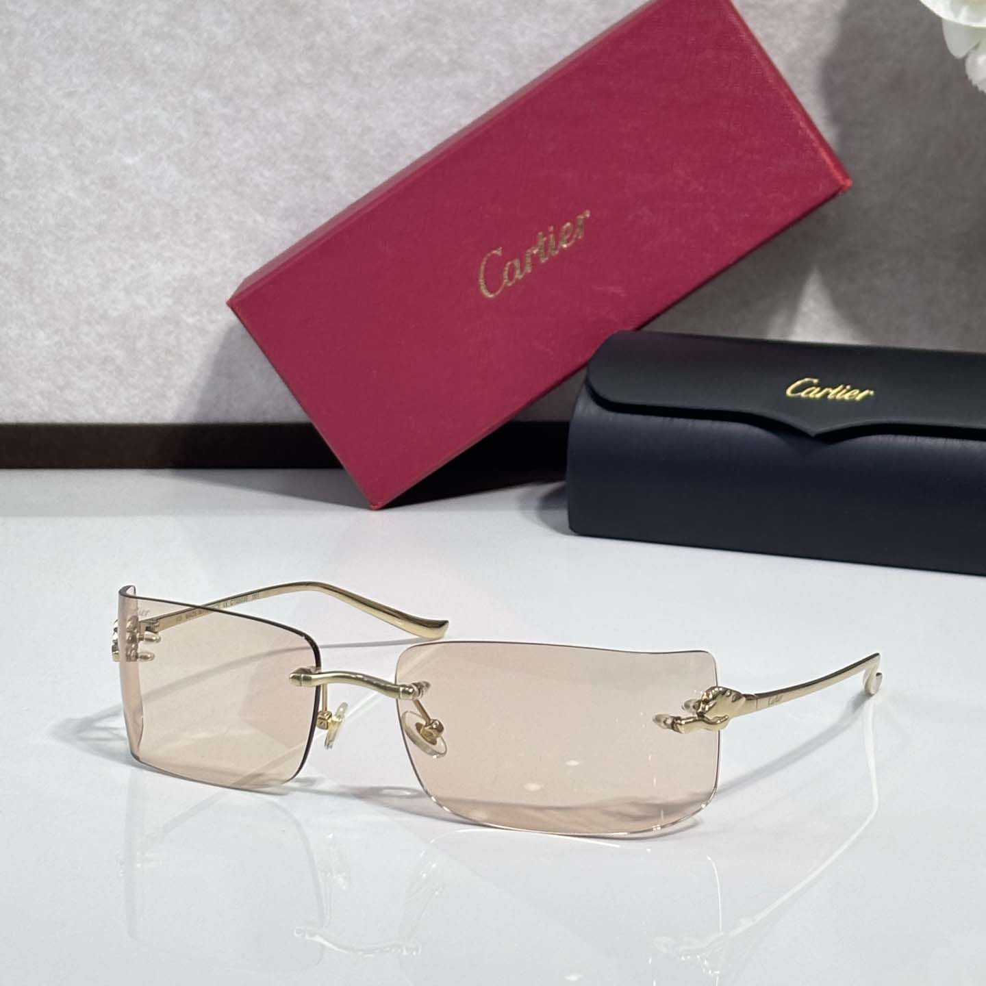 Cartier CT0503S Sunglasses    - FashionPlug