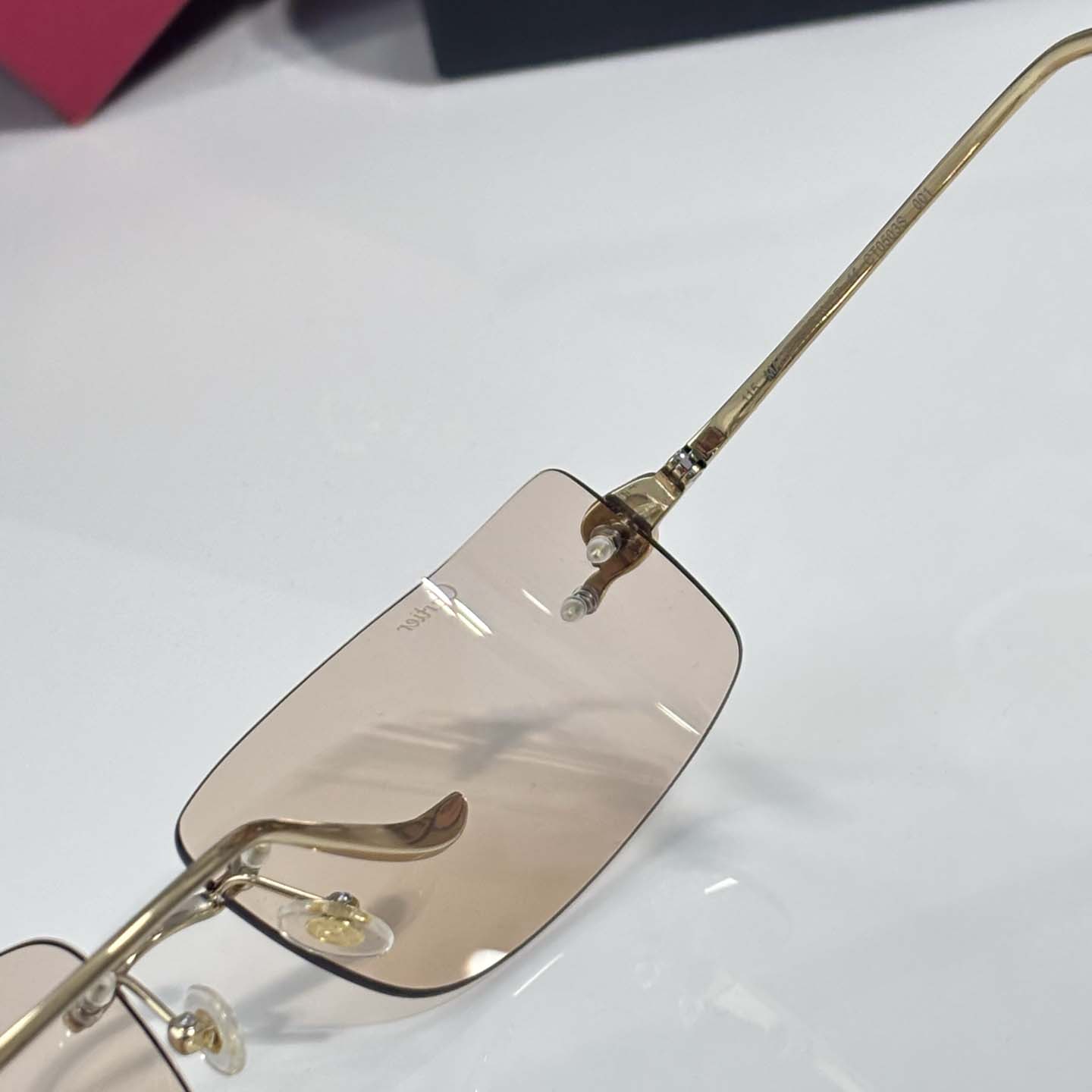 Cartier CT0503S Sunglasses    - FashionPlug